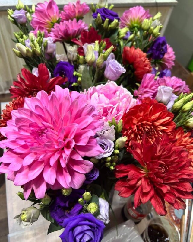 ☀️You all TRULY know how to make a gal feel special 🌺 !!
Thank you for helping Sean Malone make my day extra bright!! We truly appreciate the love and support 🙏🏻🫶🏻 
Extra special thanks to John and Lisa for this gorgeous bouquet drop off today as well!! (Aaand I have even more beautiful flowers at home, thanks to my lovely momma Sue Winters !!) 
😅…. Whew!! FEELING SO LOVED!!! 🥰 
.
.
Oh! And I won’t be at work today but I just made some really amazing scones, AND an incredibly tasty brownie bark! (GFV!)
.
.
see y’all soon 🙏🏻☀️🌺🥳
